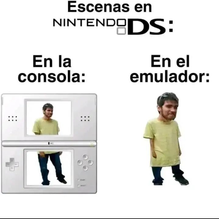 chincheto pirata somali tweet media