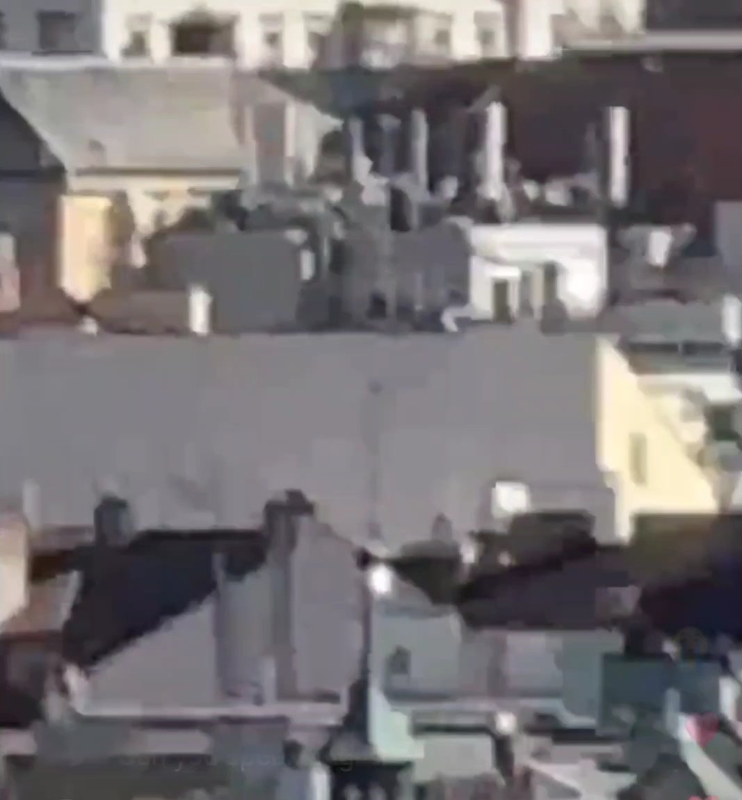 곶감☘ tweet media