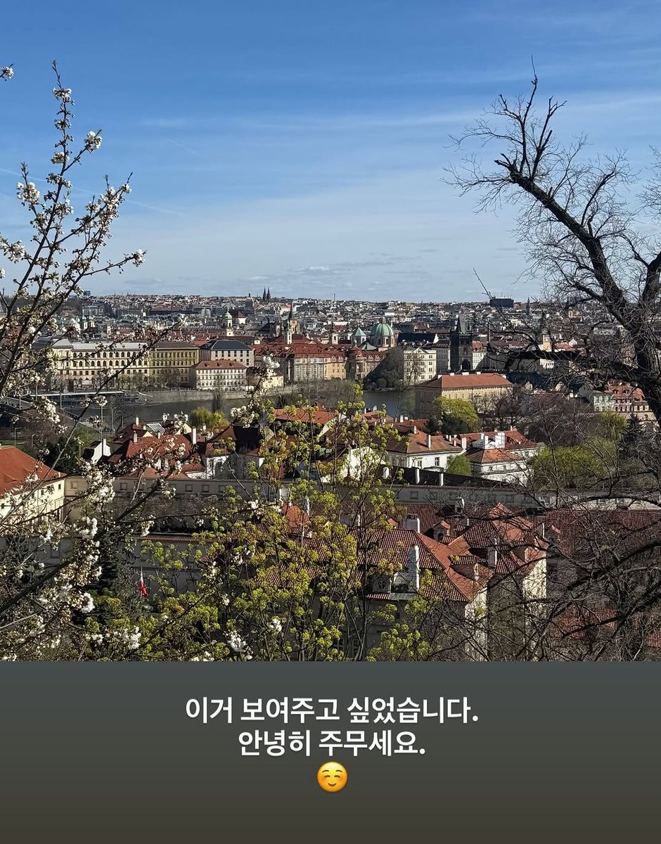 곶감☘ tweet media