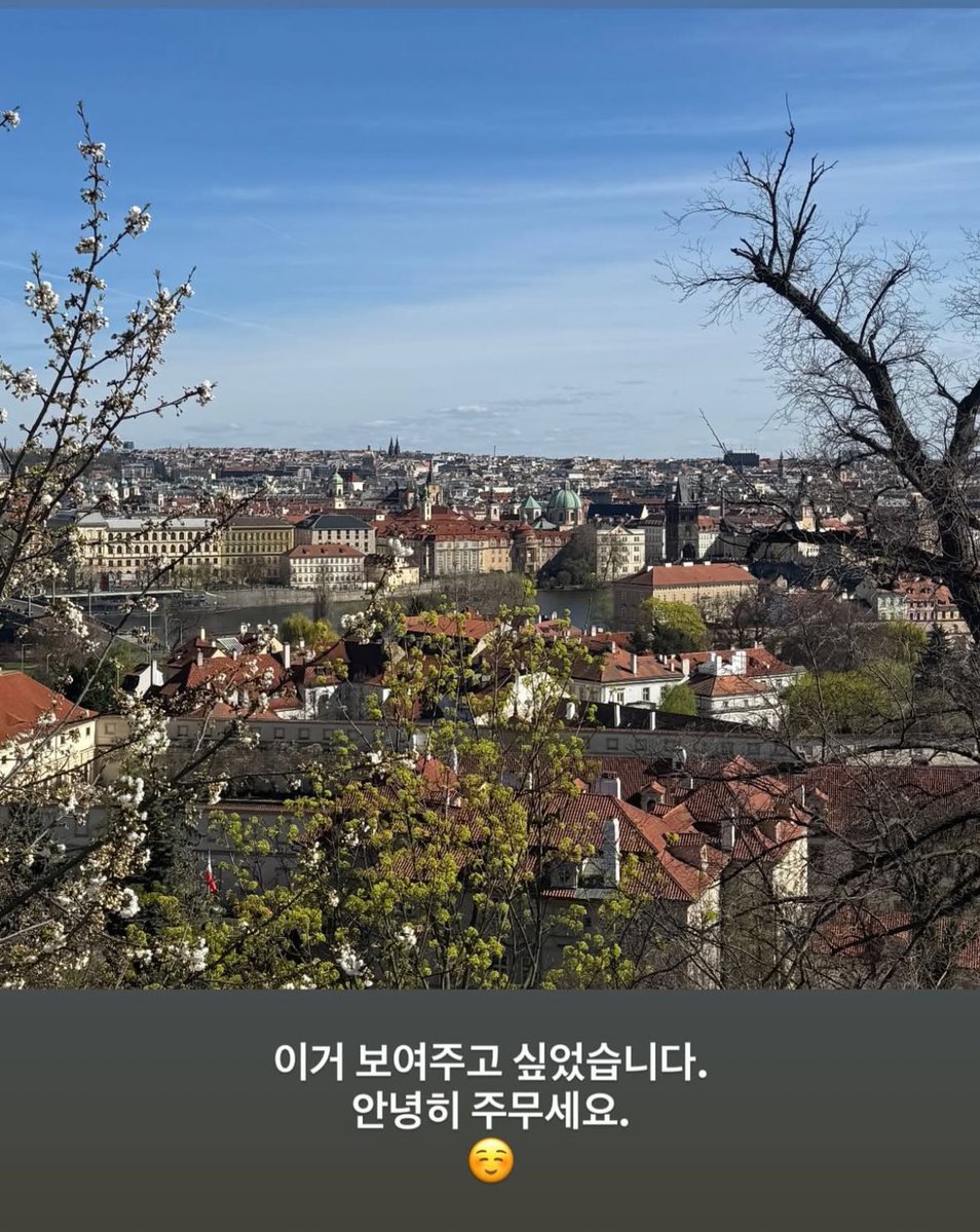 와와🥝 tweet media