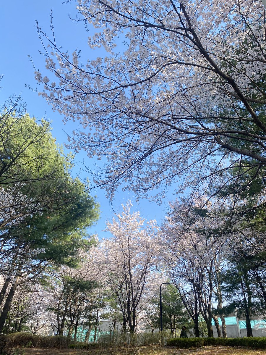missingji's tweet photo. 틈틈이���� https://t.co/rzF2nP6YOB