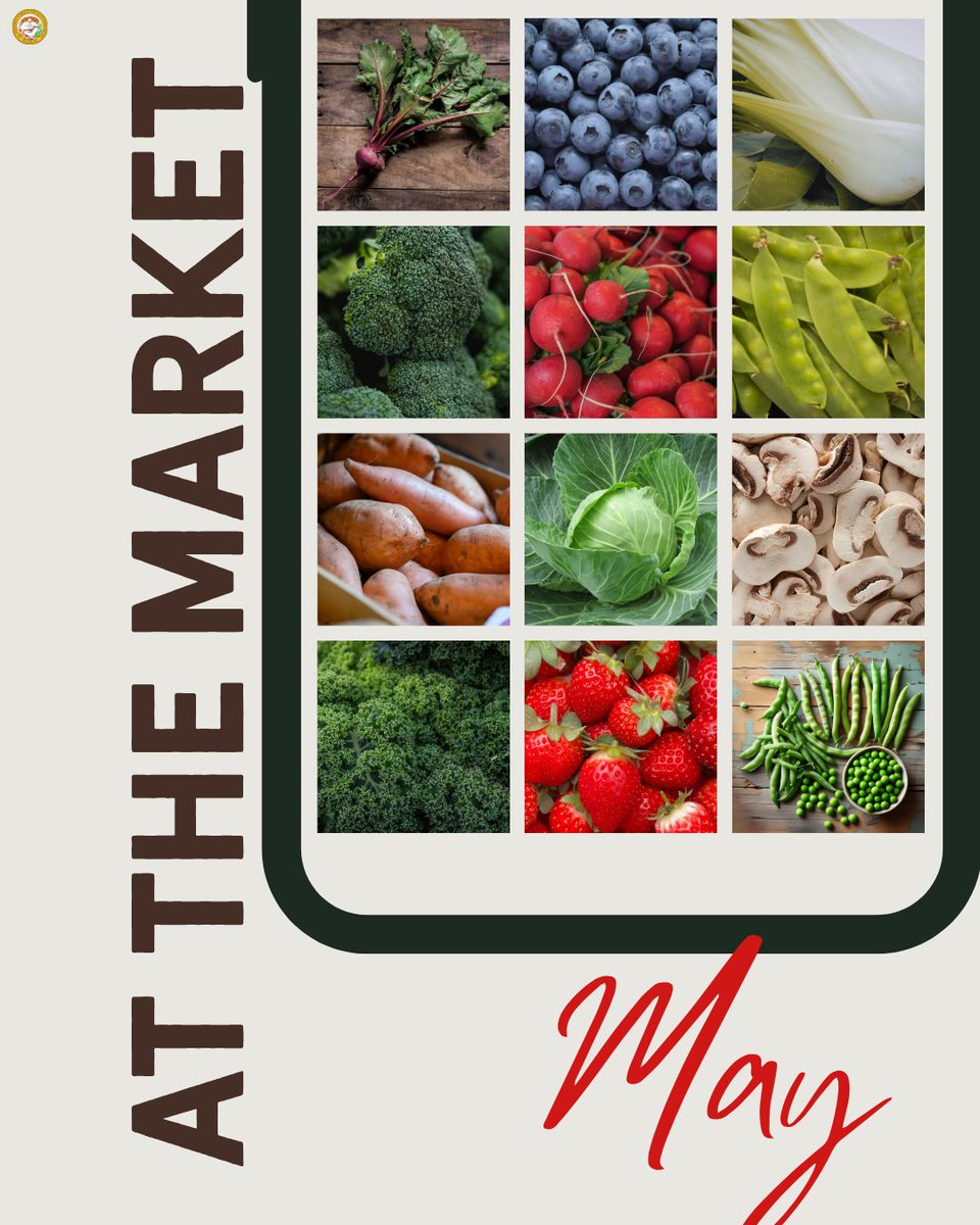 NCAgriculture's tweet image. Can you believe May is just around the corner?! 😱📅

May is a beautiful time at farmers markets and roadside stands across our state as a plethora of fruits and vegetables are now in season, like blueberries and bokchoy. Stock up today! #BuyLocal #NCAgriculture
