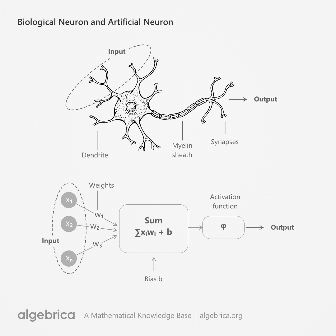 Antonio Lupetti tweet media