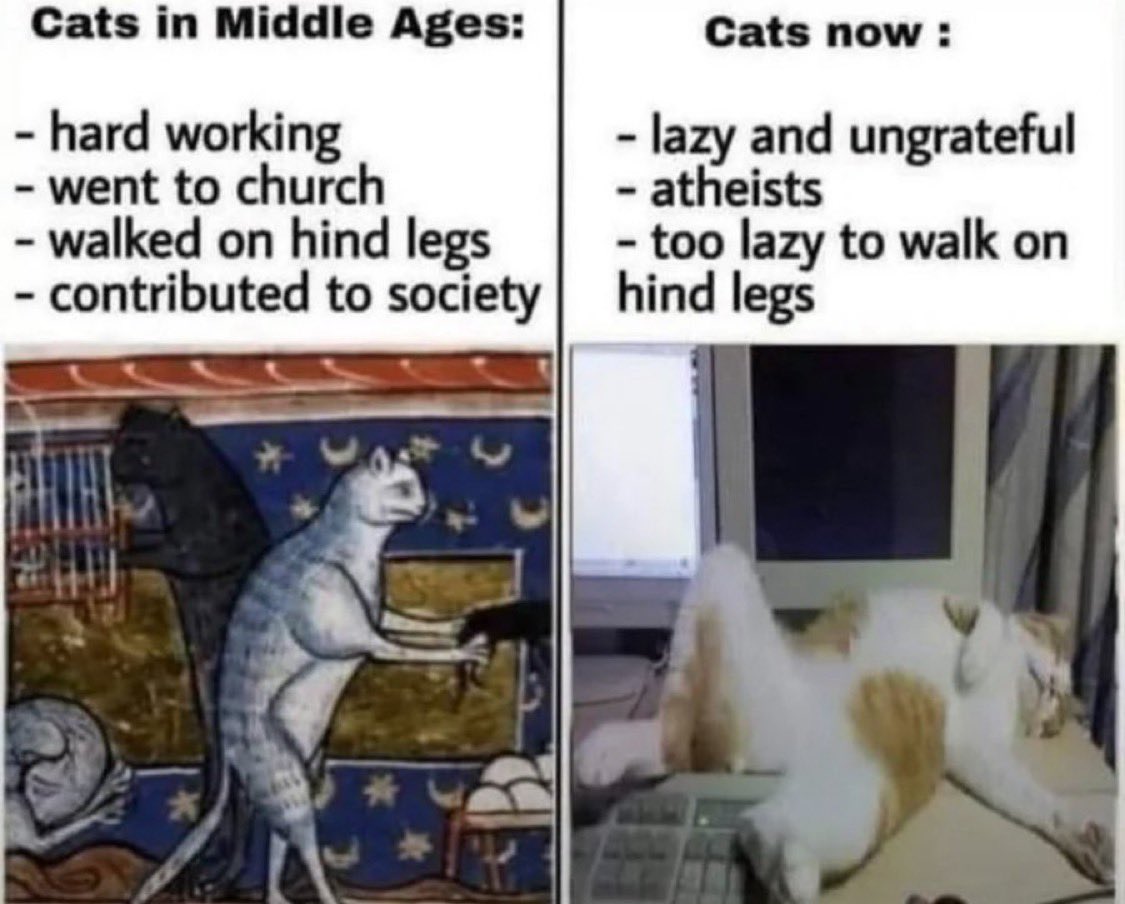 Daily Roman Updates tweet media