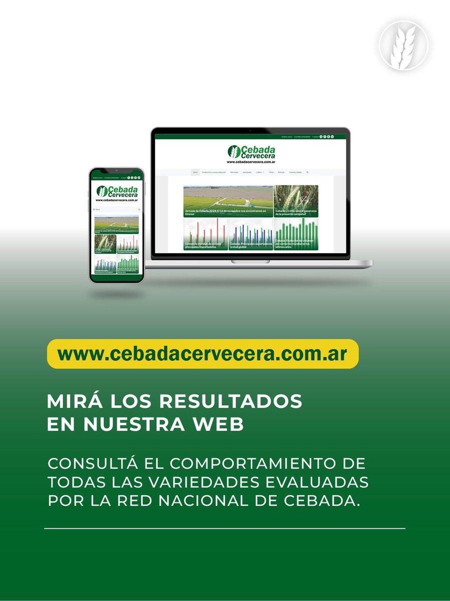 Cebada Cervecera tweet media