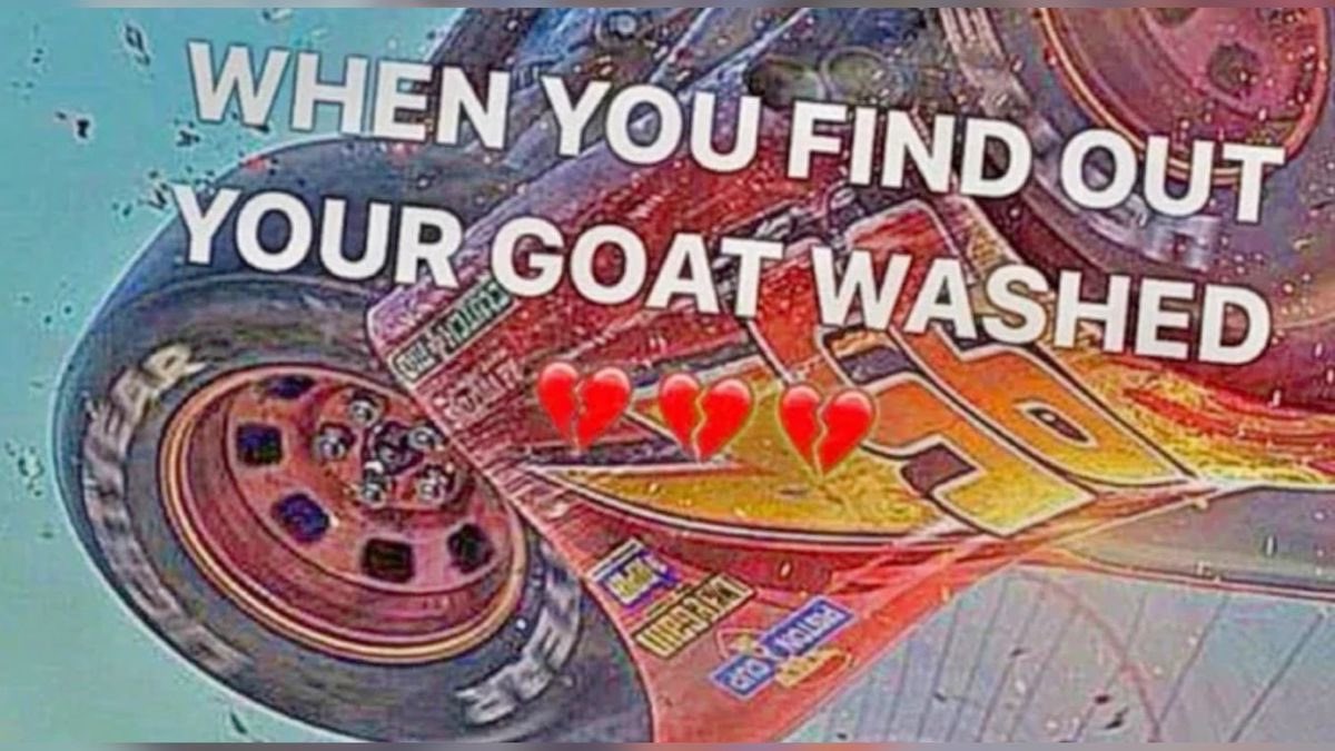 random❤️💙 🟰 Dreamcon26' tweet media