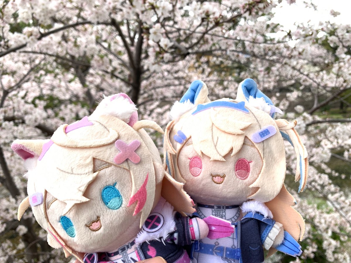 椿🌽🩵🩷🐾⚔️🩵 tweet media