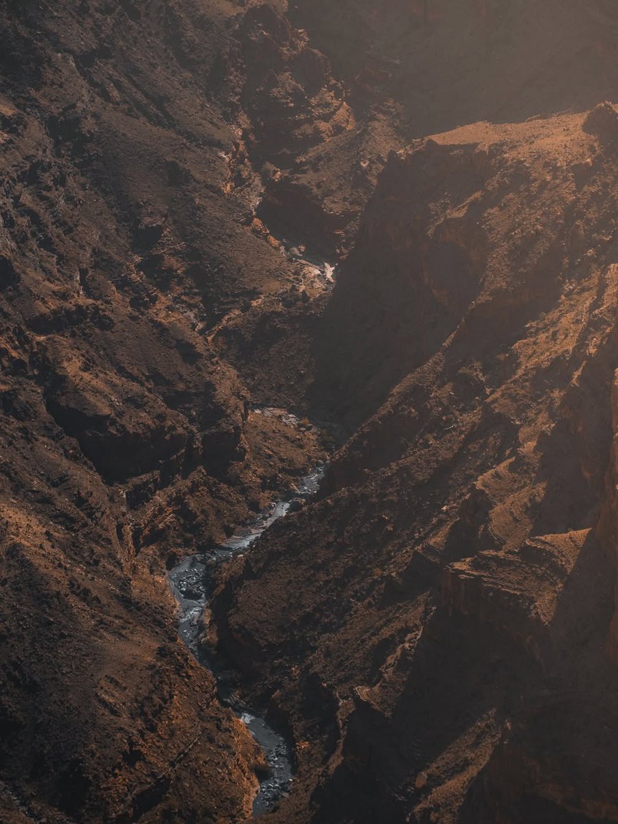 Experience Oman tweet media