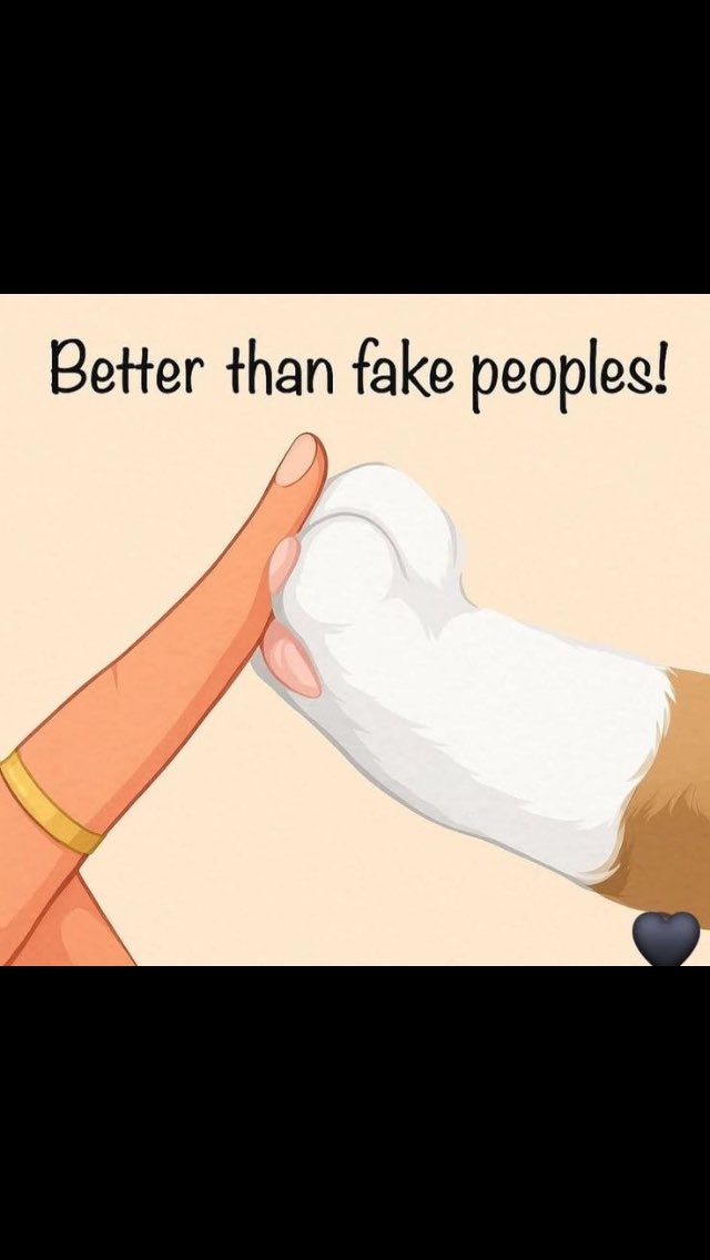 peter 🇸🇪 tweet media