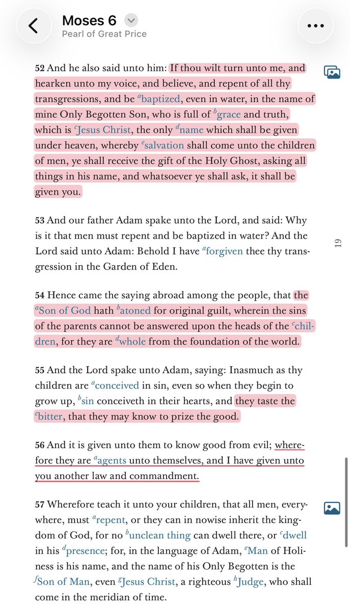 Scott Adams tweet media