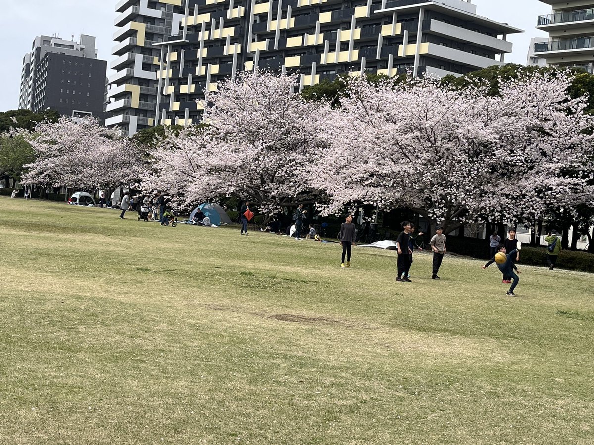 Satoshi@(株)ナカムラ研究所 tweet media