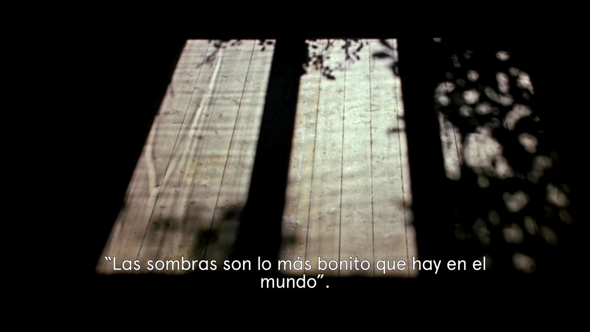 Movistar Plus+ tweet media