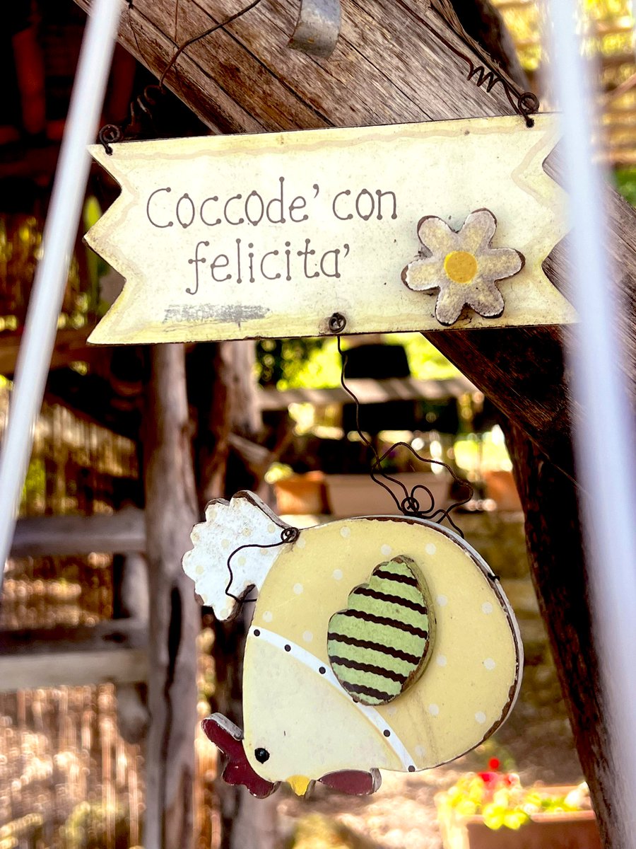 _sam_sa_ra's tweet image. #Happiness

📸 #6aprile2026