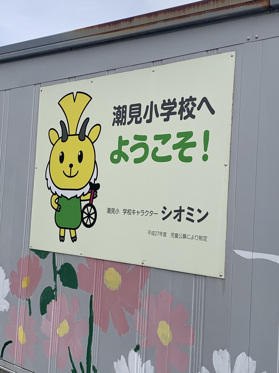 立花抹茶 tweet media