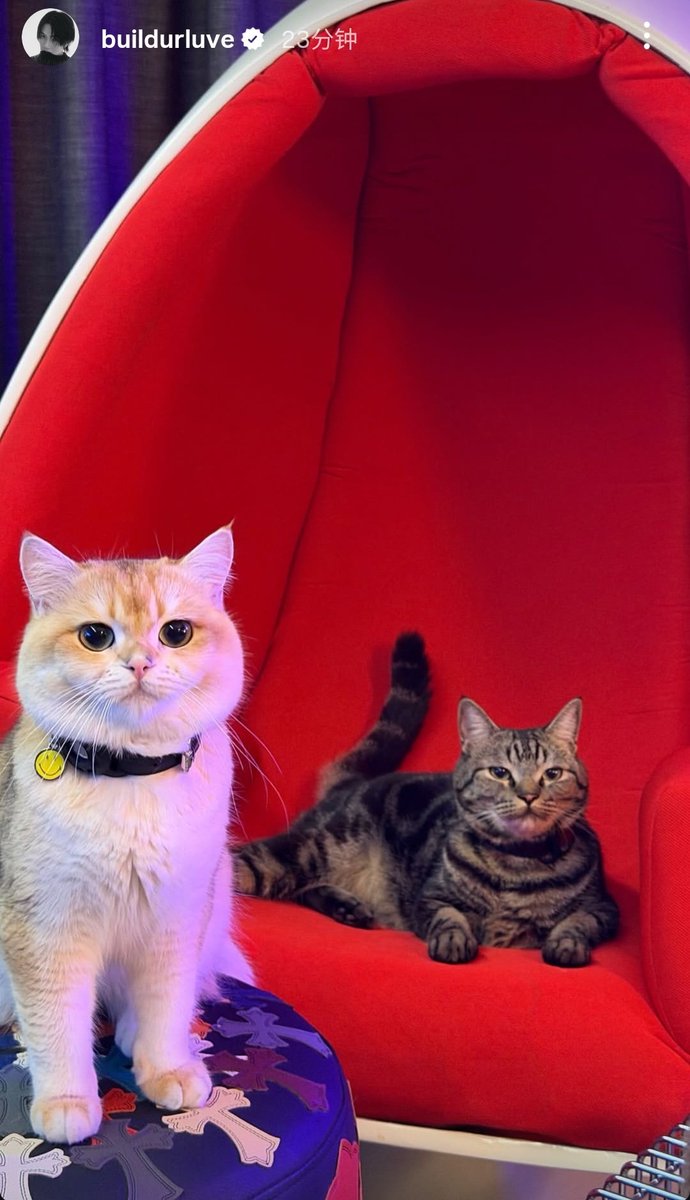 BBuilingBuiling tweet media