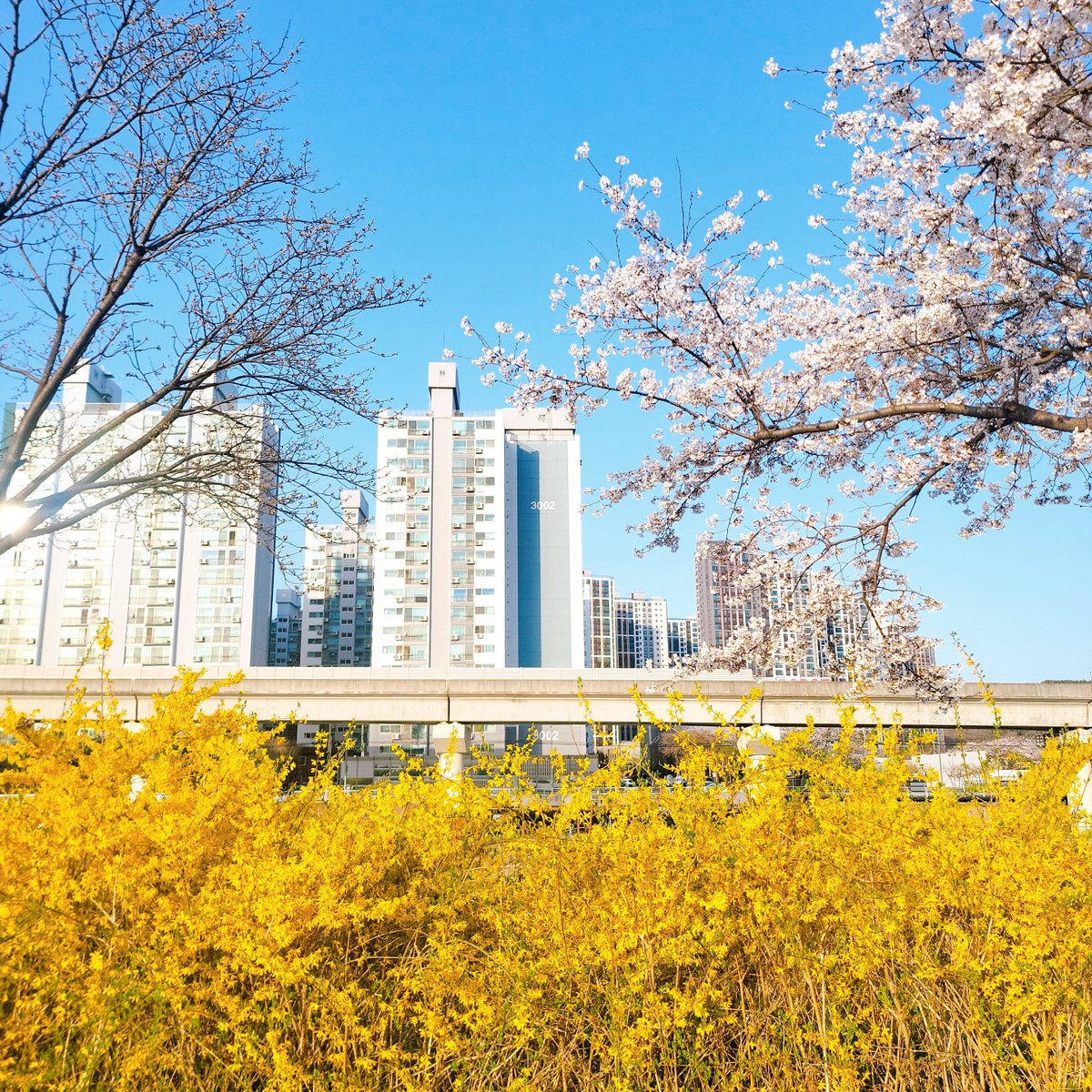 시리얼 tweet media