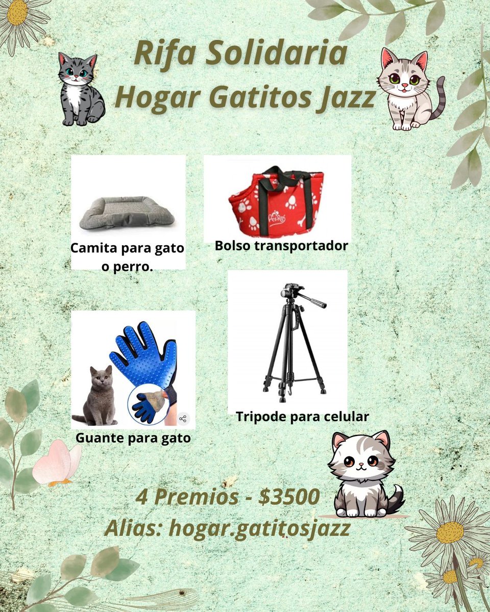 MerlinaAdamss's tweet photo. Rifa para comprar comida para los gatitos y los remedios para Candy  $3500 Alias: hogar.gatitos.jazz Link de MP: https://t.co/YZ6IGYgakw
Se rifa cuando venda todos los números
Vamos chicos que el 20/04 tengo que ir a comprarle comida a los michis.🙏🐱🐱🐱 https://t.co/mHPWilJc15