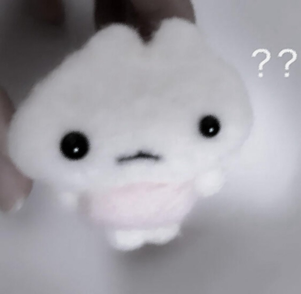 𝐒𝐞𝐫𝐞𝐧𝐚 ‎ꫂ᭪݁ tweet media