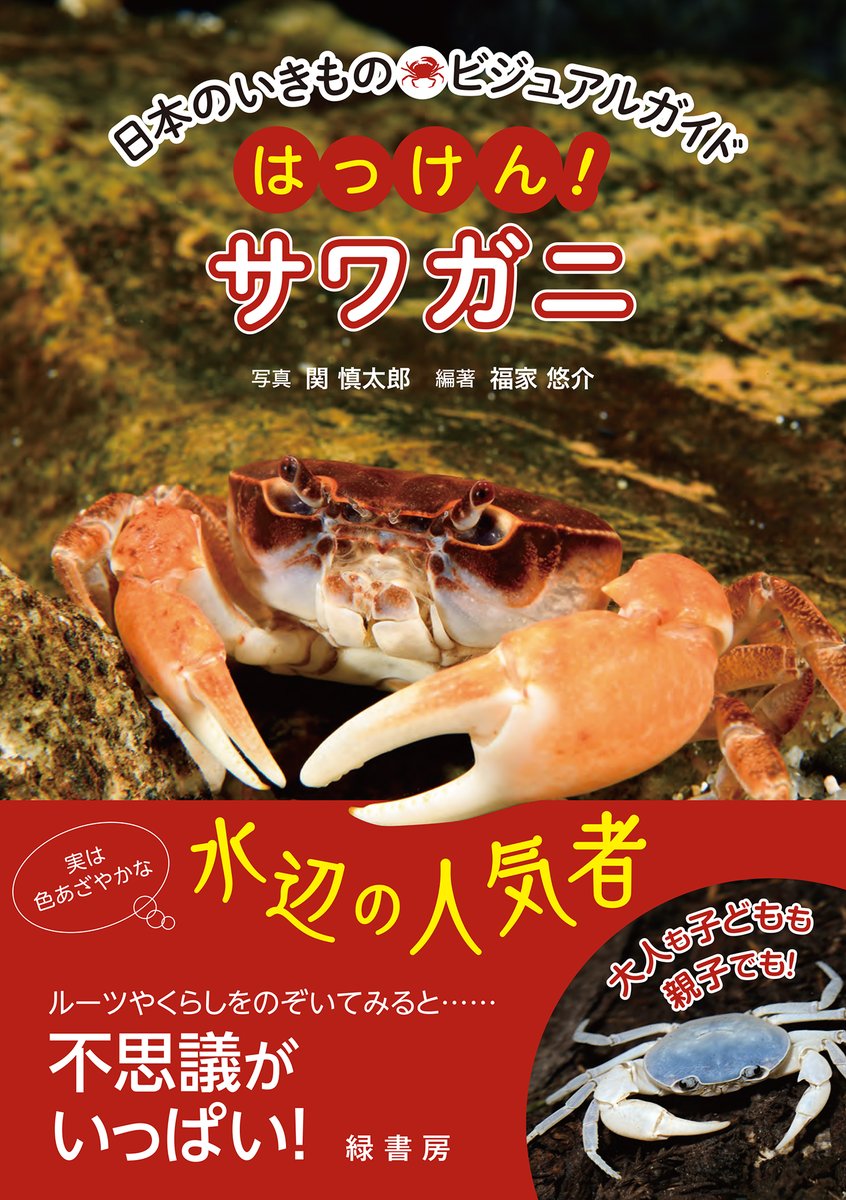 とりふぁ tweet media