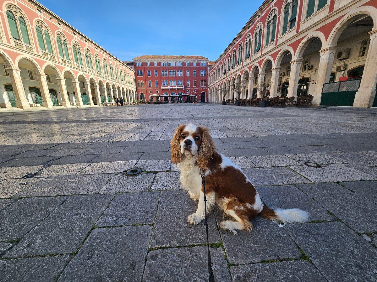 RJonTourUK tweet media