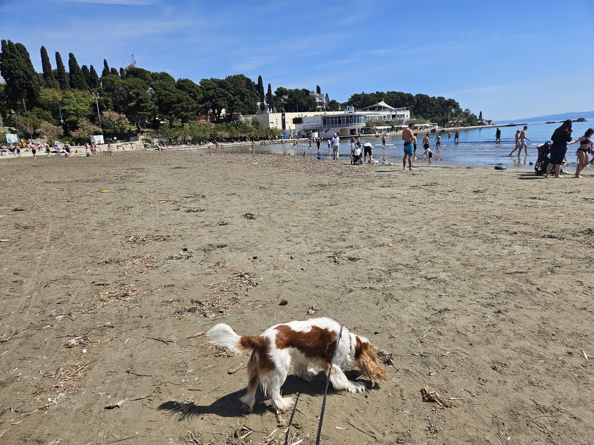 RJonTourUK tweet media