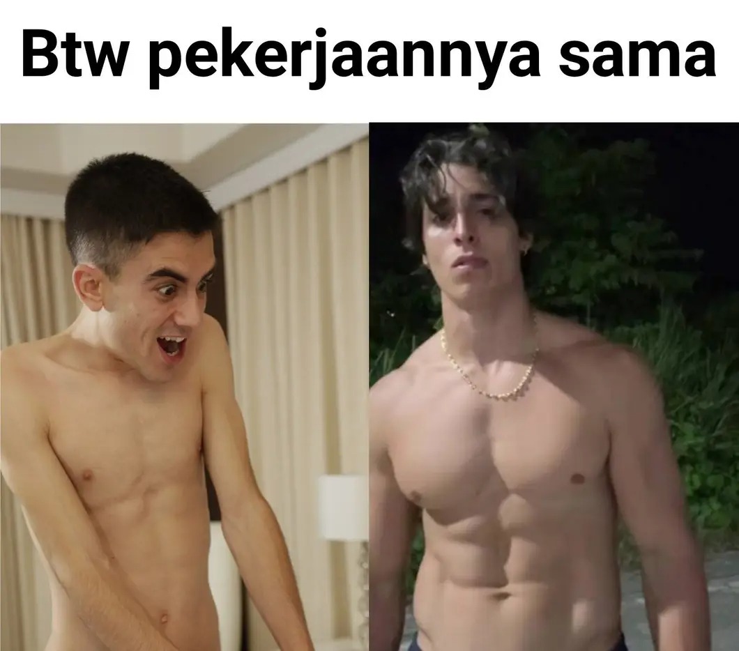 Memelord tweet media