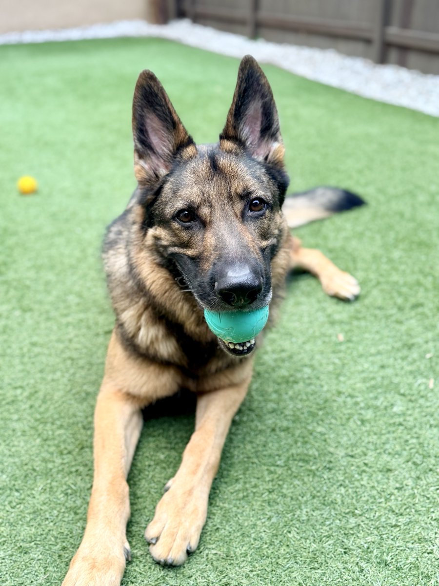 Irene M. Johnson tweet media