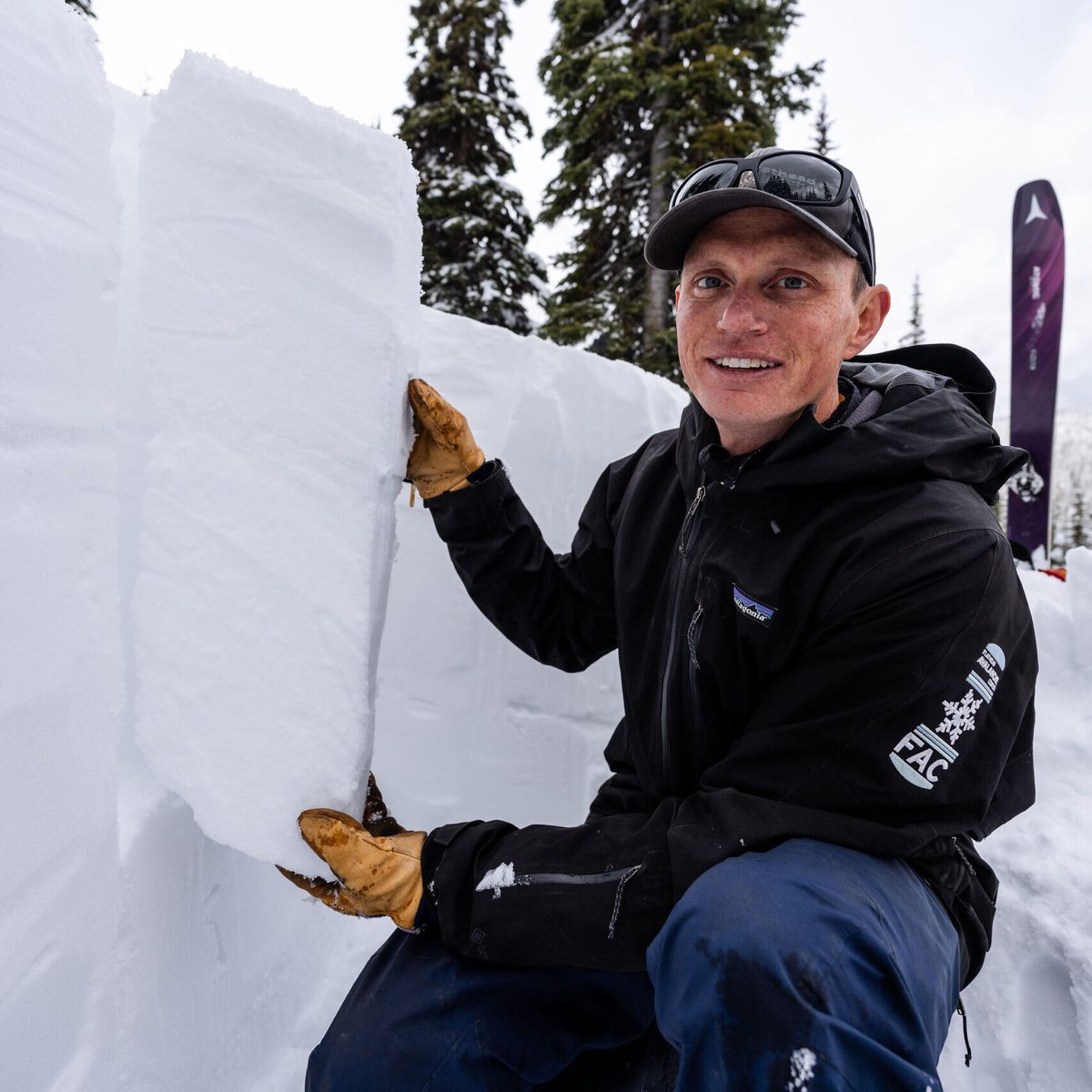 FACAvalanche tweet picture