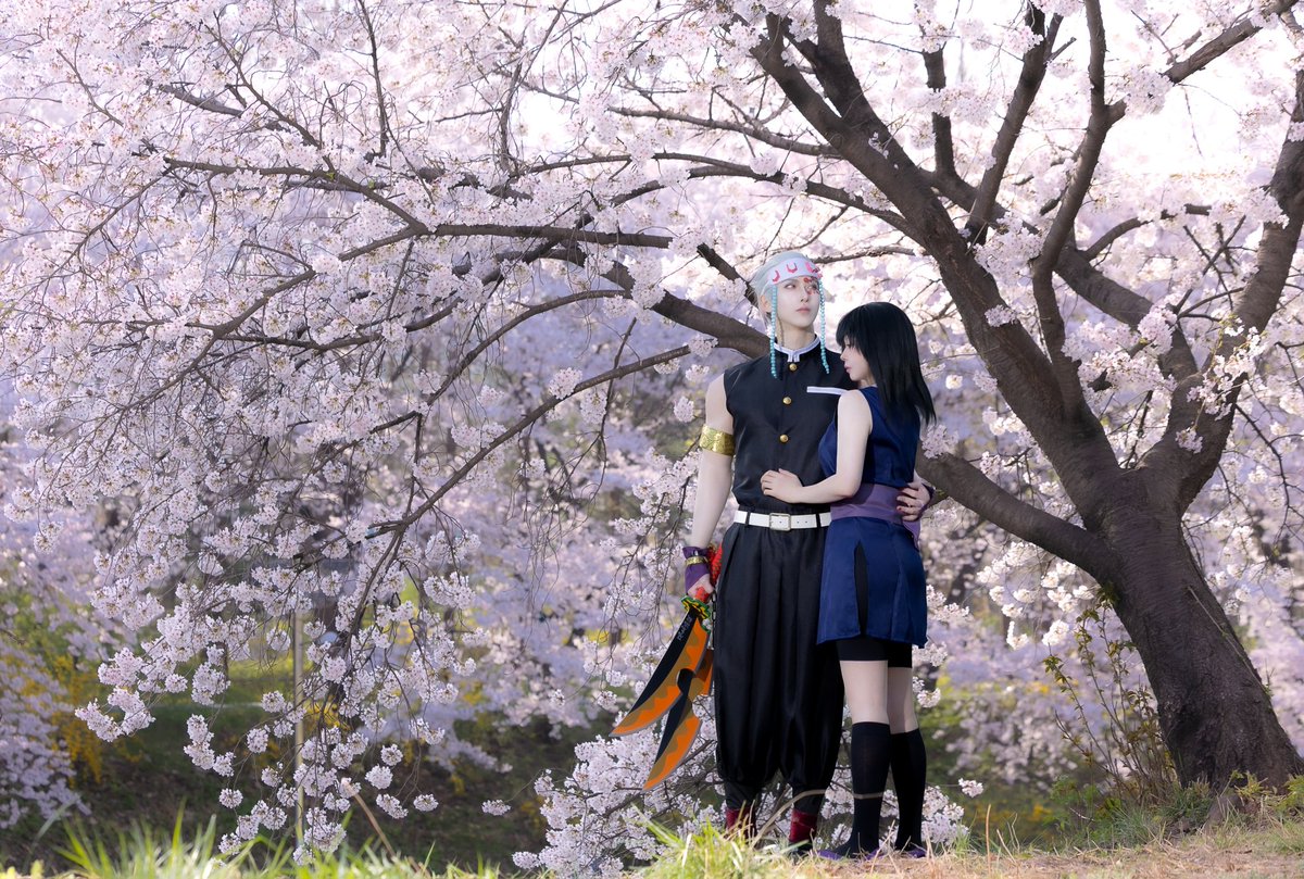 강서문 / somun tweet media