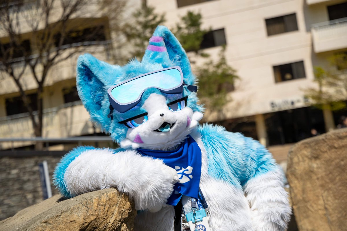 Sul_GavI / 가비 tweet media