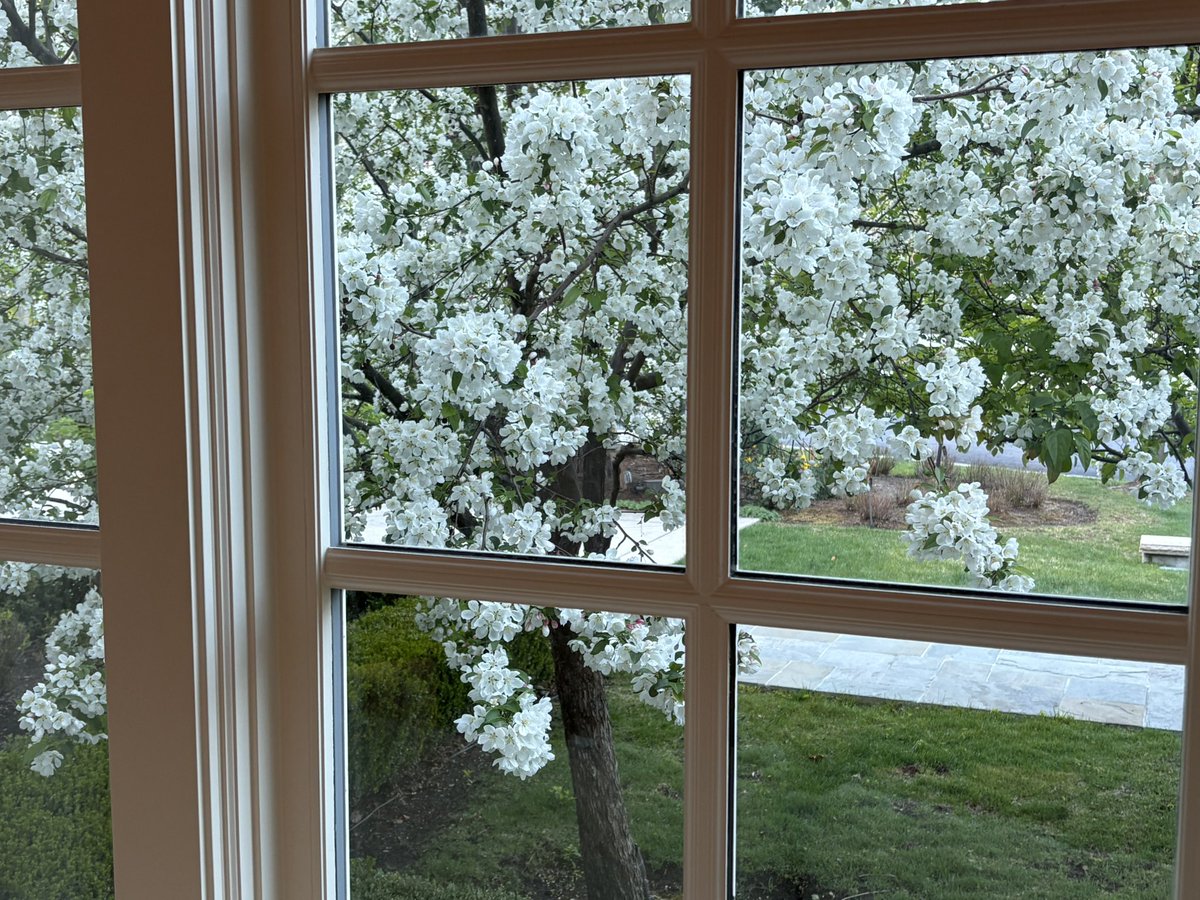 Michael Mower tweet media