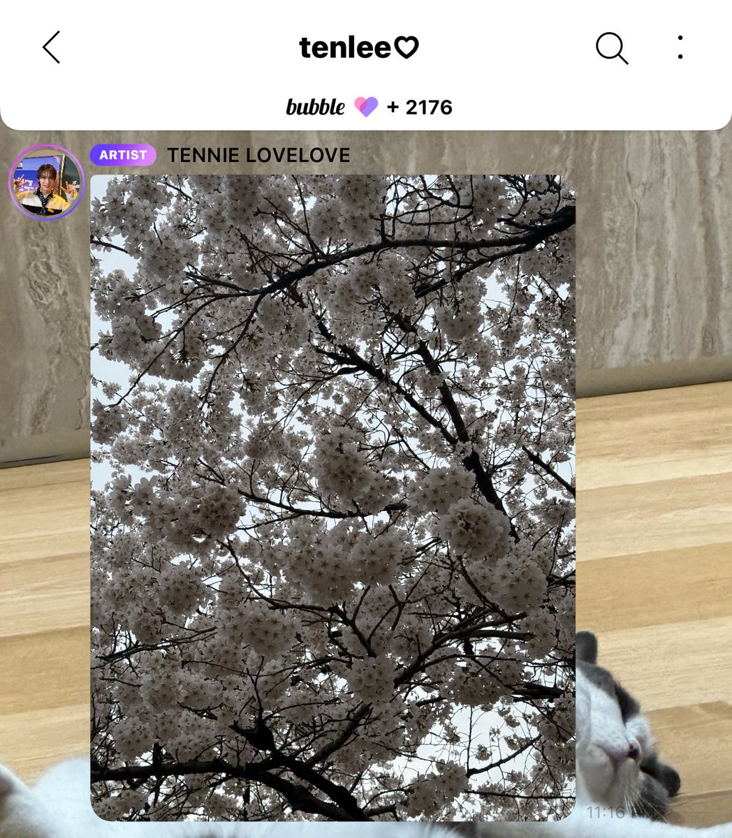 yongqinsuh tweet media