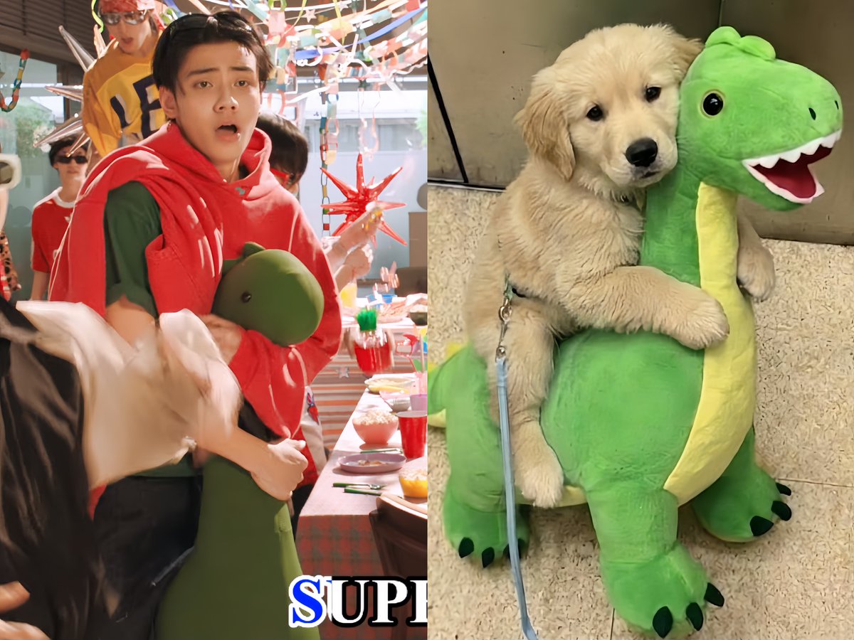 ‎ ‎ 𓈒 ⟡🧚🏻‍♀️ Peanut ୨ৎ 𓈒 ݁⋆ tweet media