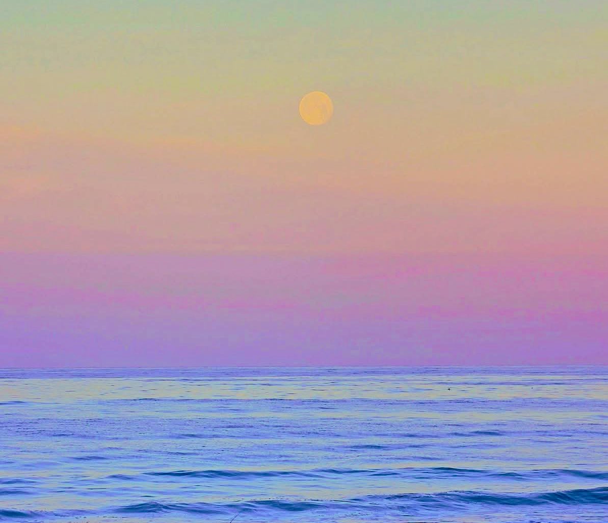 rrunnfastt tweet media