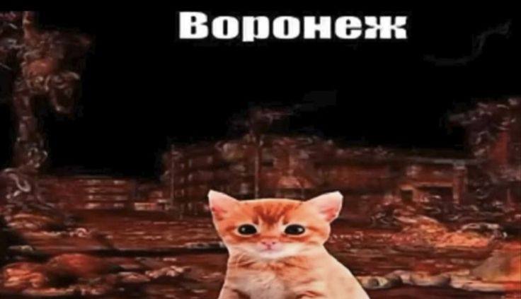 Alice Biering tweet media