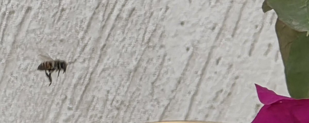 ززز زياد tweet media