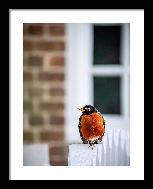 Rachel Morrison tweet media