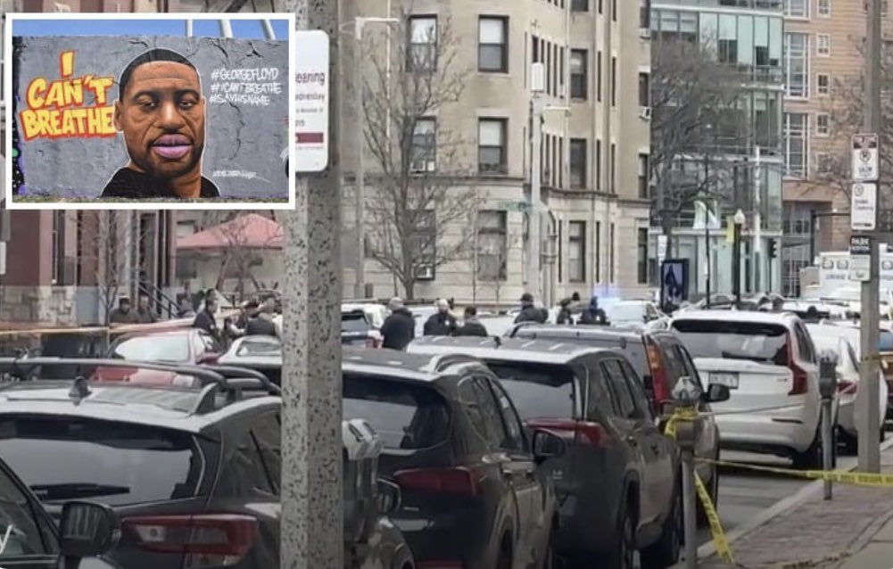 Sibyl🇺🇸🌹 tweet media