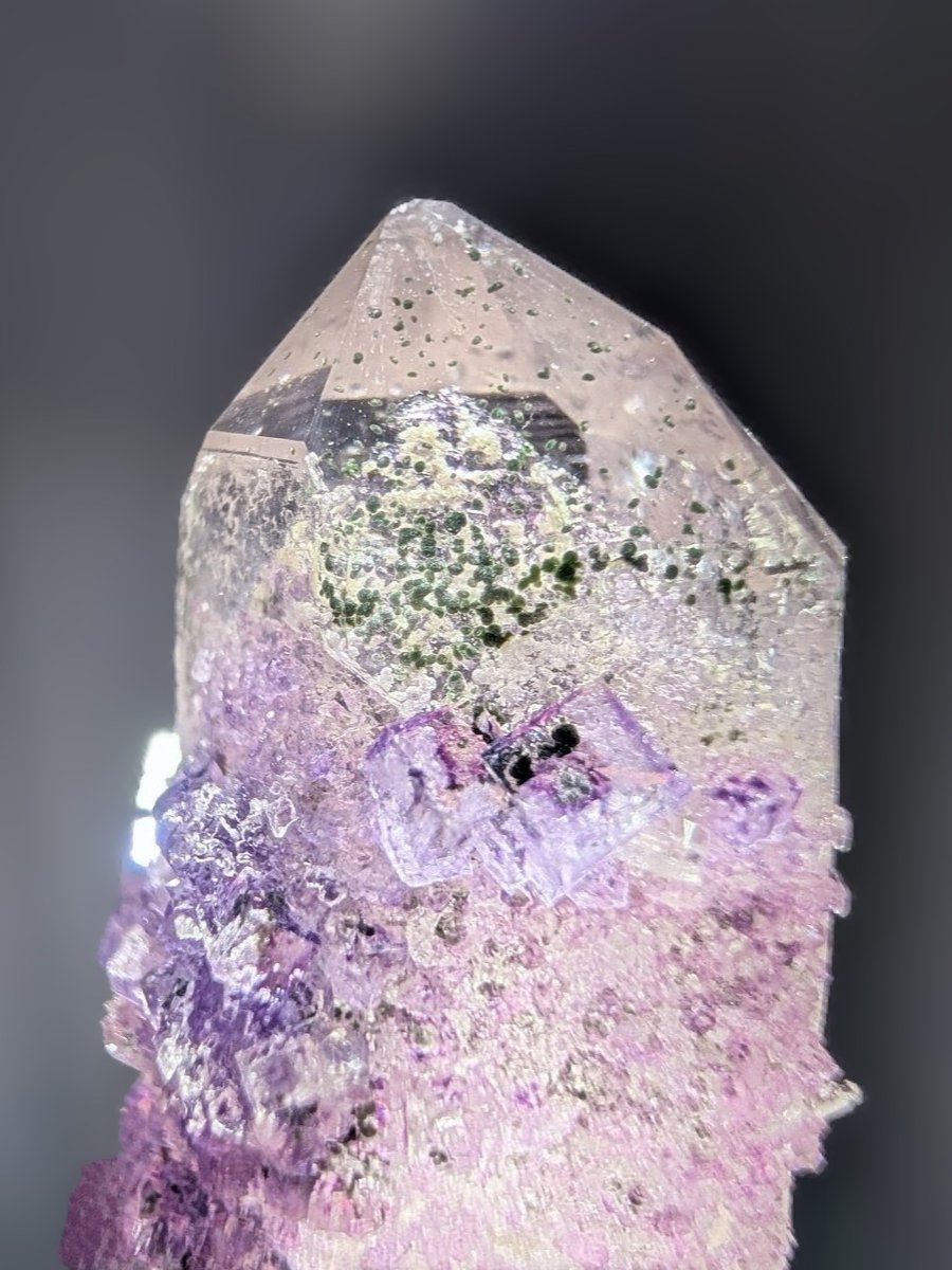 雪⛰️国 tweet media