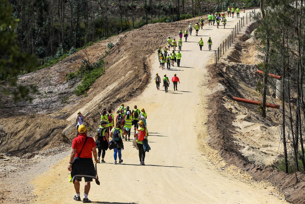 CrisVond tweet media