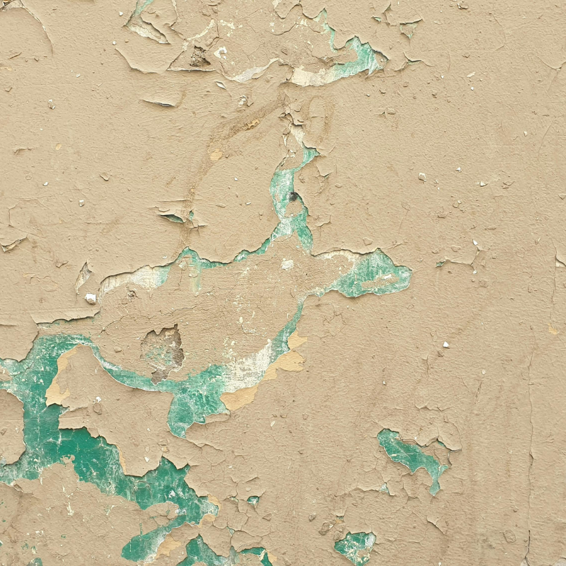 Best Choice Painters tweet media