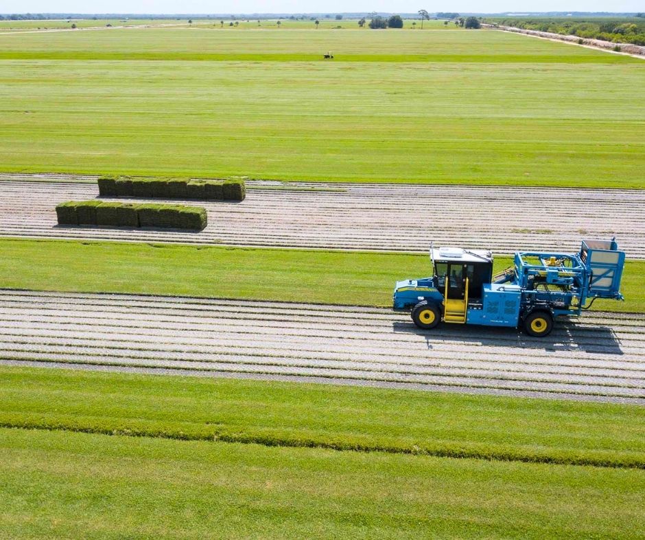 Bethel Farms tweet media