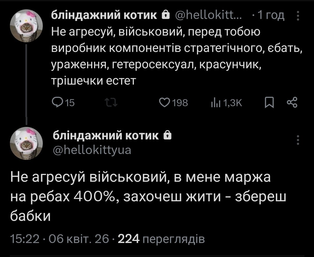 Киця-навідниця tweet media