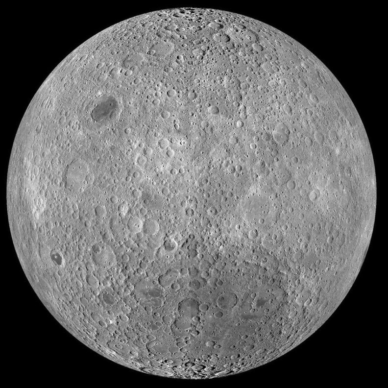 Alwaleed tweet media