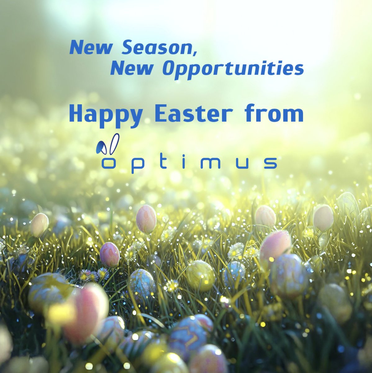 Optimus Business Transformation tweet media