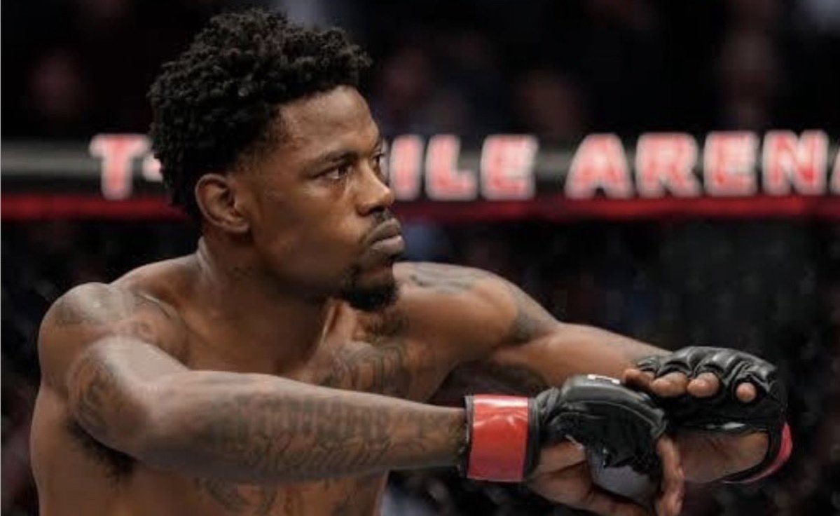 どこでもホランド tweet media