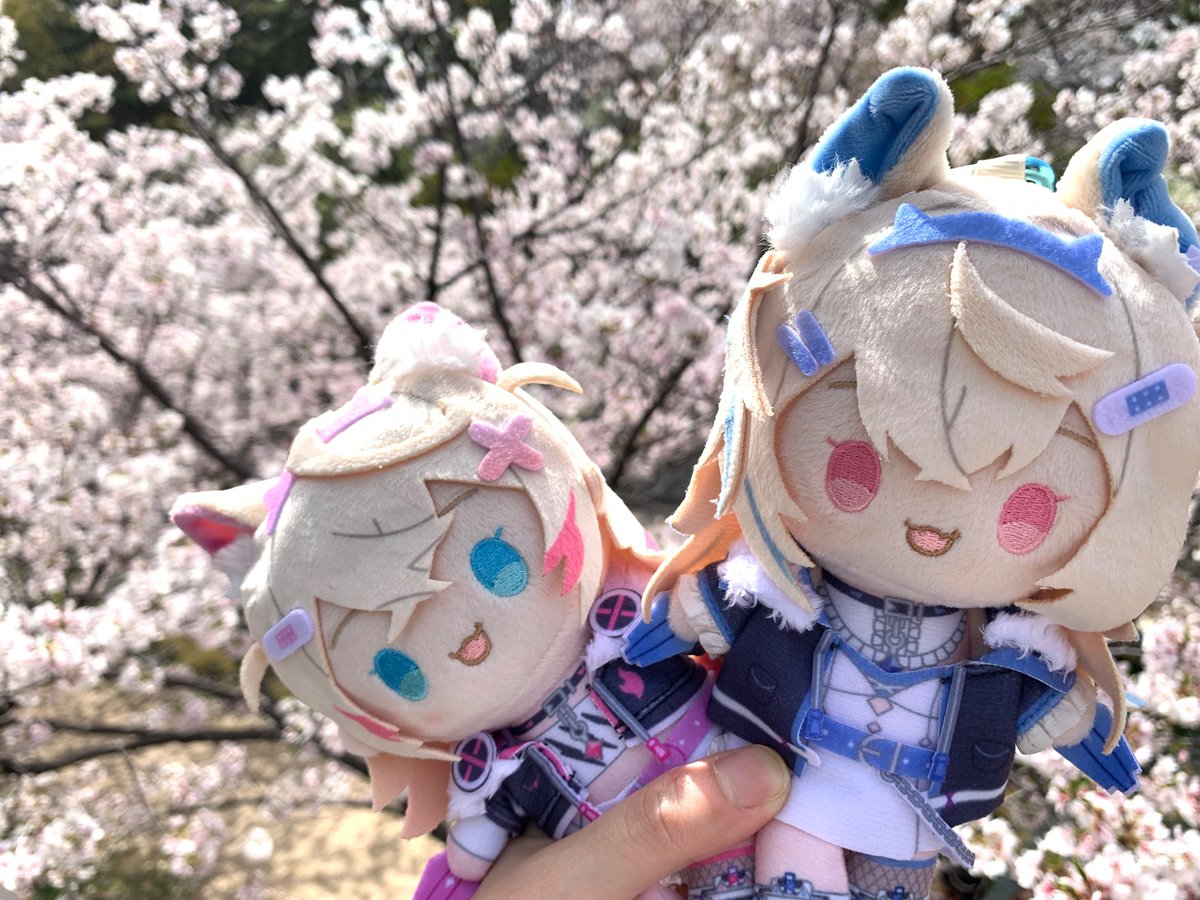 椿🌽🩵🩷🐾⚔️🩵 tweet media