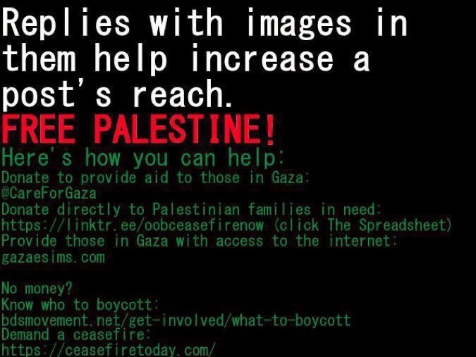 ★ | 🇵🇸🇳🇨🇨🇩🇸🇩🇾🇪🇪🇭 tweet media