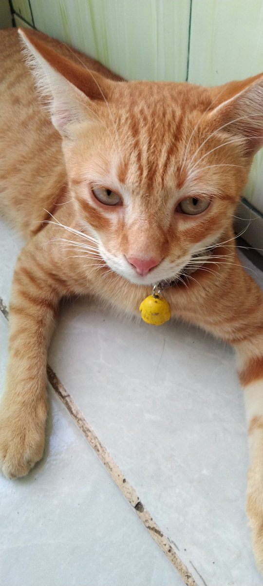 Vely🍬 tweet media