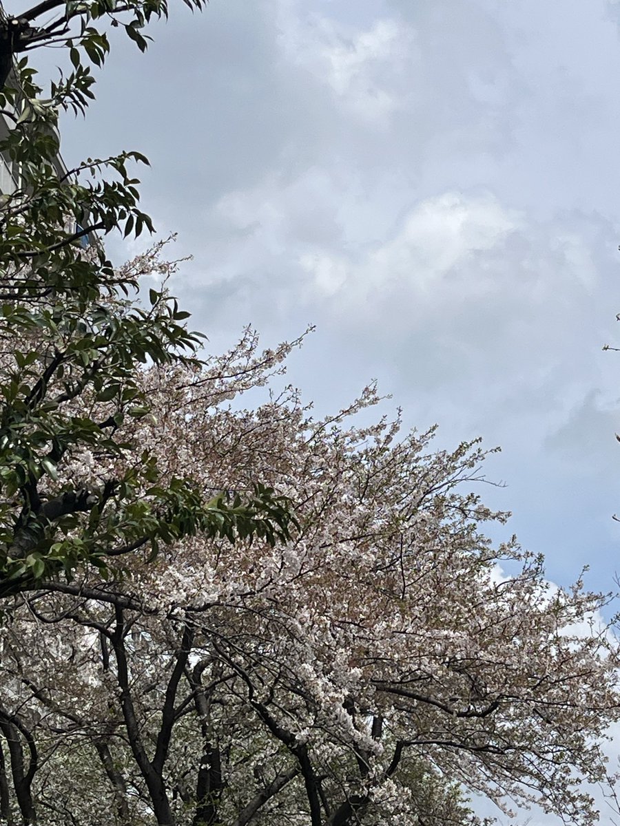 Satoshi@（株）ナカムラ研究所 tweet media